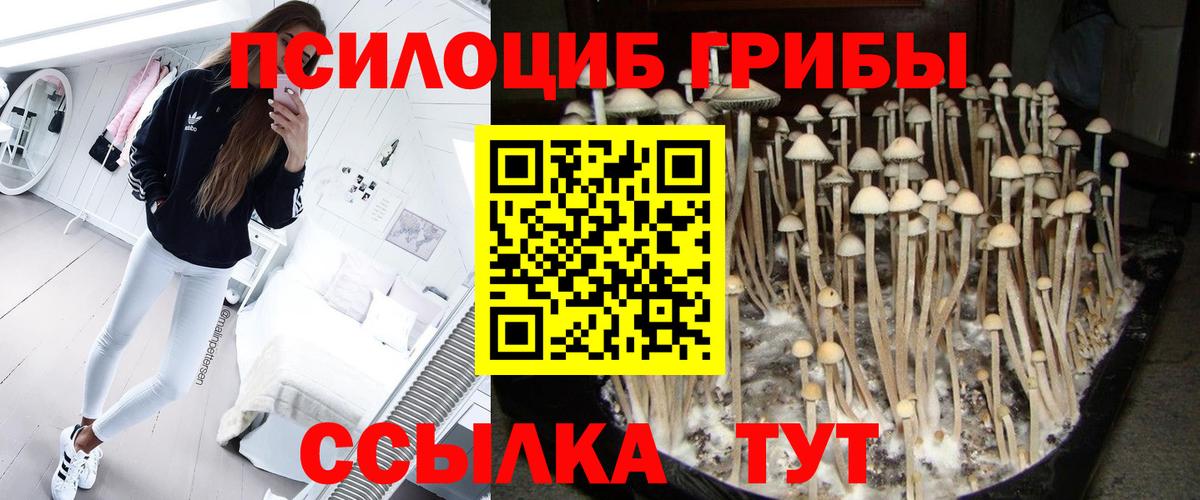 Псилоцибиновые грибы мицелий Магнитогорск